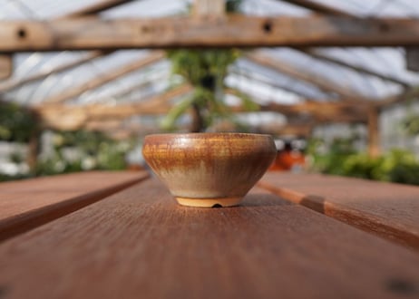 關まどか pot NO.20-1　Ｇ