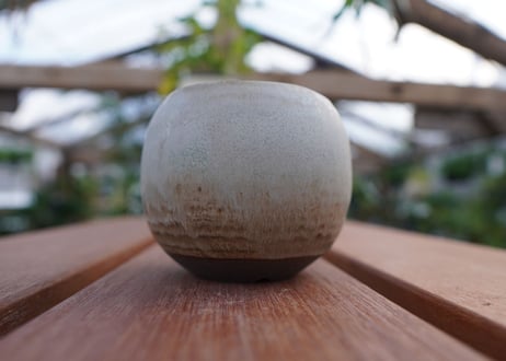 關まどか pot NO.9-3 F