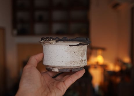 保田修作  pot No.29
