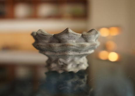十十 草冠 pot  No.2
