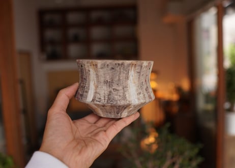 沼野秀章 pot No.23