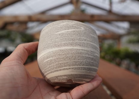 關まどか pot NO.22-7　Ｇ