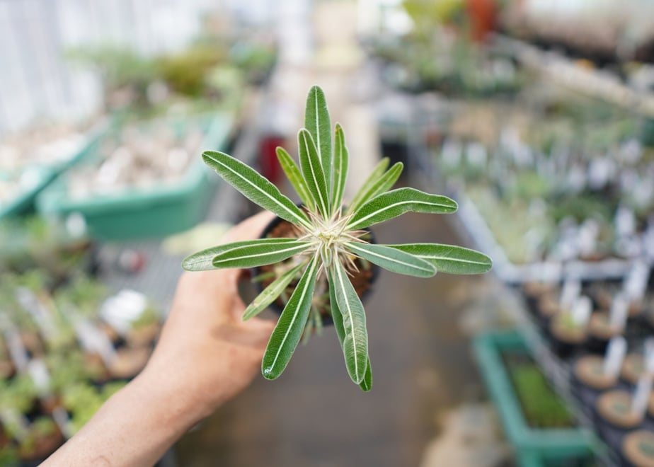 610b2ea67acd165abc447f7e