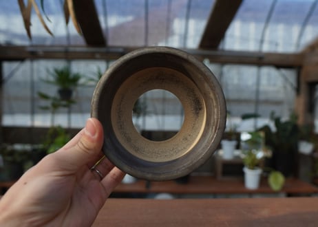 保田修作  pot No.1