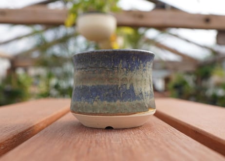關まどか pot NO.7-4　F