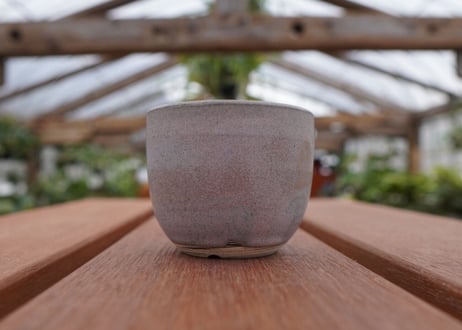關まどか pot NO.30-5 F