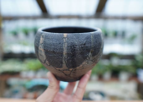 hechicami pot NO.3