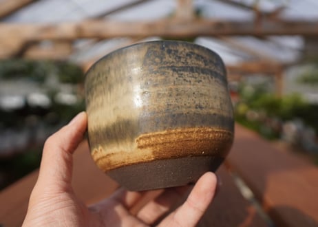 關まどか pot NO.14-1　F