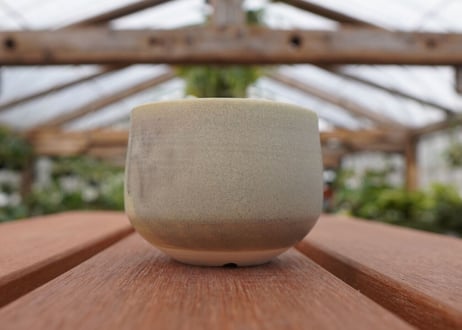 關まどか pot NO.28-2　F