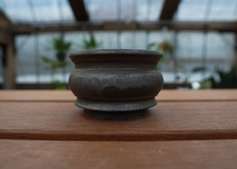 保田修作  pot No.19