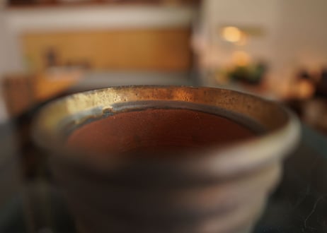 大信陶器 pot NO.1