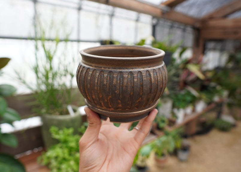 保田修作 pot No.27 | mana's farm:塊根植物・アガベ・ドライガーデン植