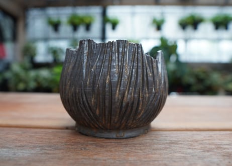 保田修作  pot No.8