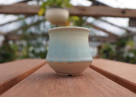 關まどか pot NO.5-12