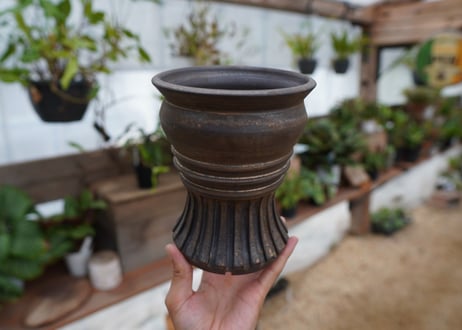 保田修作  pot No.16