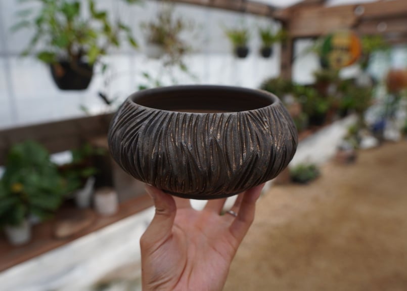 保田修作 pot No.7 | mana's farm:塊根植物・アガベ・ドライガーデン
