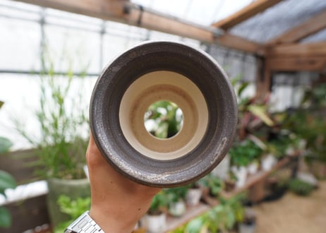 保田修作  pot No.28