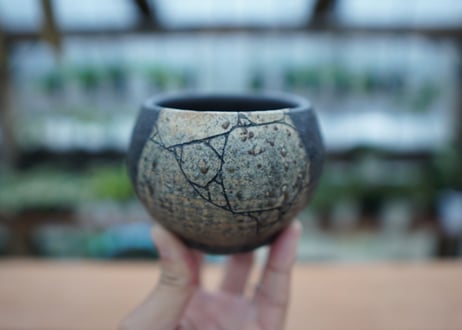 hechicami pot NO.1