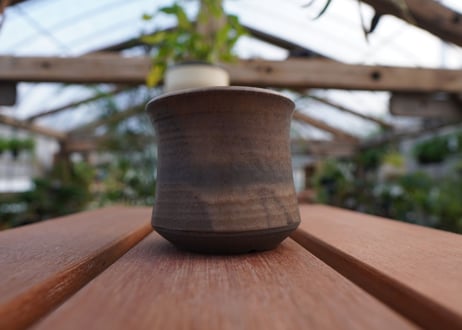 關まどか pot NO.11-2 F
