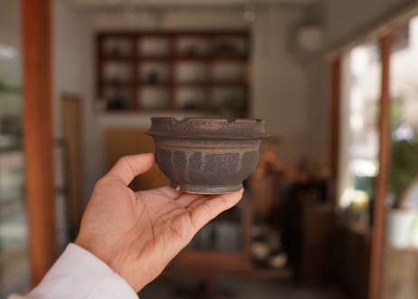 保田修作  pot No.6