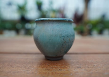 神田知広pot No.2