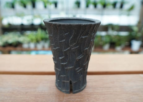 沼野秀章 pot No.2