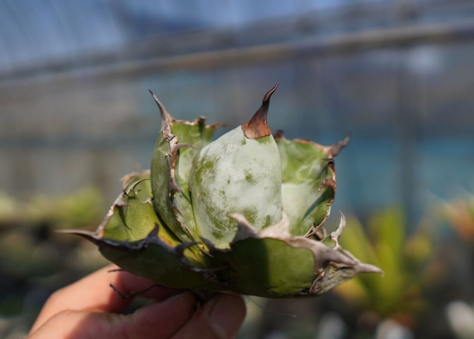 634fb6edc15c5a7e5e1586eb