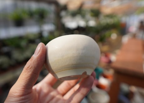 關まどか pot NO.20-2