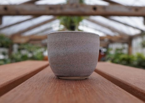 關まどか pot NO.30-5 F