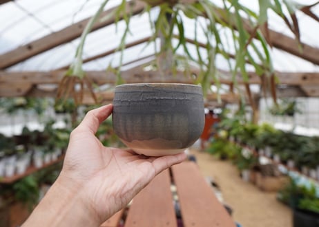 關まどか pot NO.29-5　Ｇ
