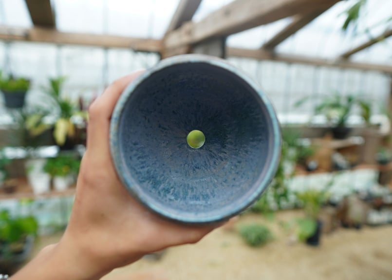 神田知広pot No.10 | mana's farm:塊根植物・アガベ・ドライガーデン