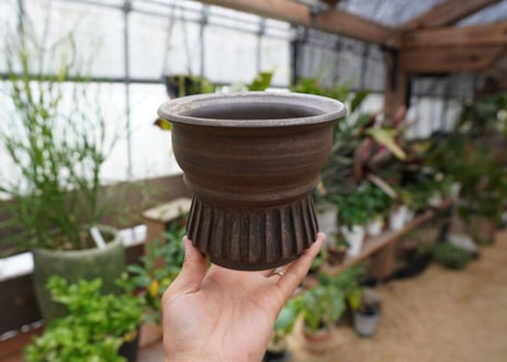 保田修作  pot No.25