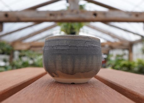 關まどか pot NO.29-5　Ｇ