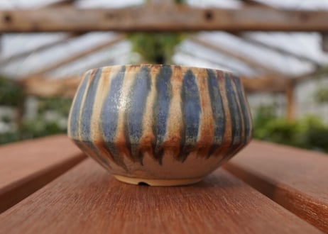 關まどか pot NO.23-2　Ｇ