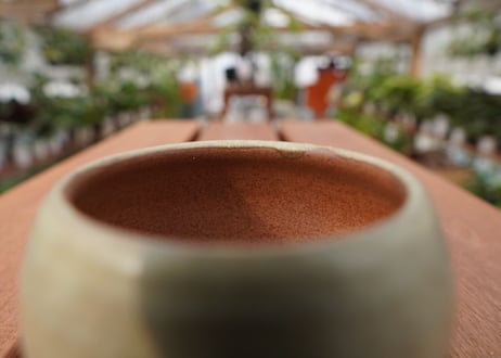 關まどか pot NO.26-1　Ｇ