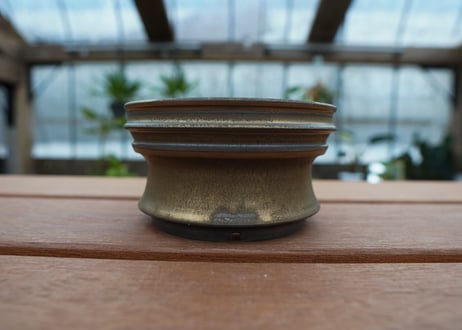 保田修作  pot No.45
