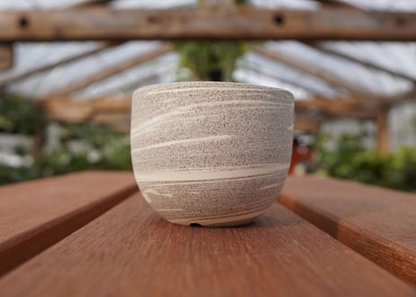 關まどか pot NO.22-7　Ｇ
