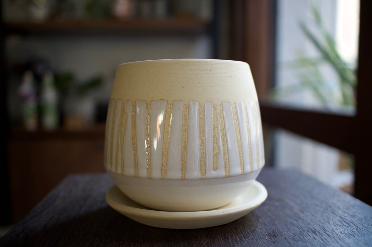 陶器鉢　設楽焼　塊根植物 楽天市場】【クーポン発行中！〜10/20】信楽焼 植木鉢 陶器 伊羅