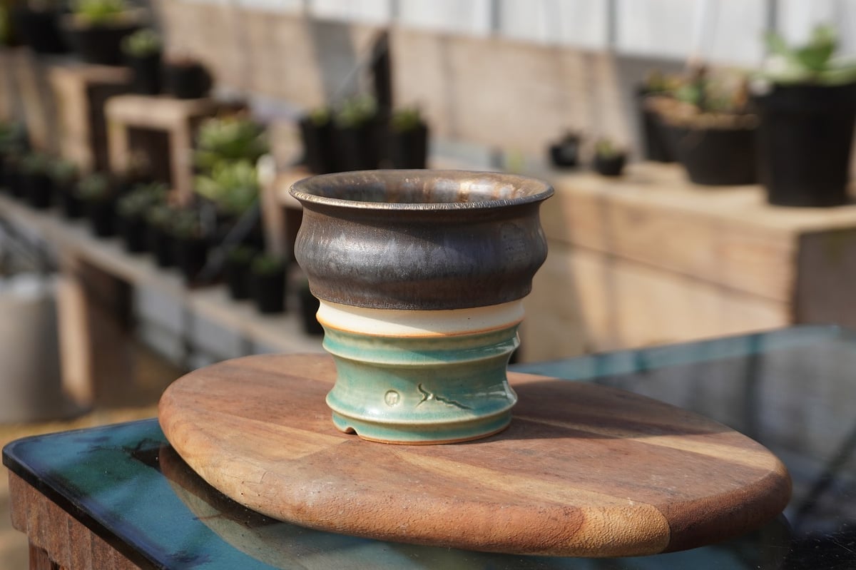 砂鉢　花器　千鳥 青足カツオドリ鉢｜持木祐一 farm:塊根植物・アガベ mana's | No.15 工芸品