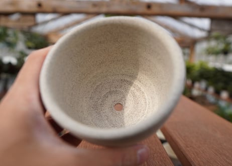 關まどか pot NO.22-3 F