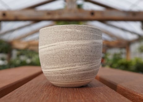 關まどか pot NO.22-5　F