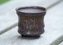 P. willinckii 'Nano' (spore) | mana's farm:塊根植物