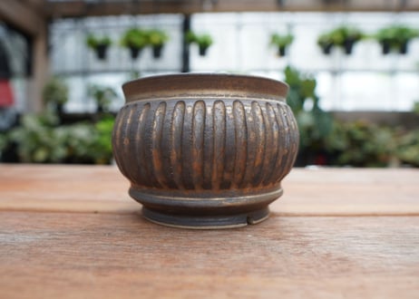 保田修作  pot No.27