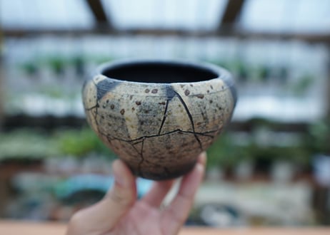 hechicami pot NO.2