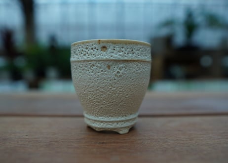 Muddy Punk pot No.19