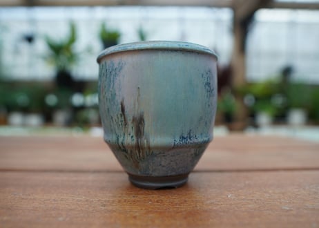 神田知広pot No.5