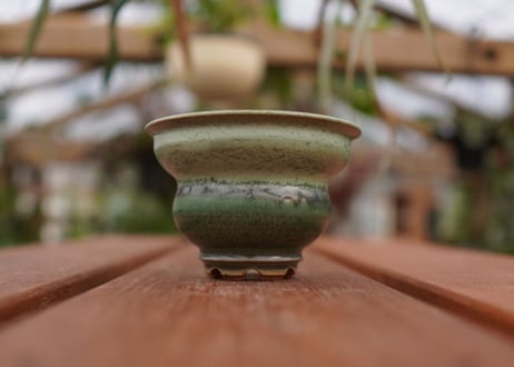 持木祐一pot NO.17