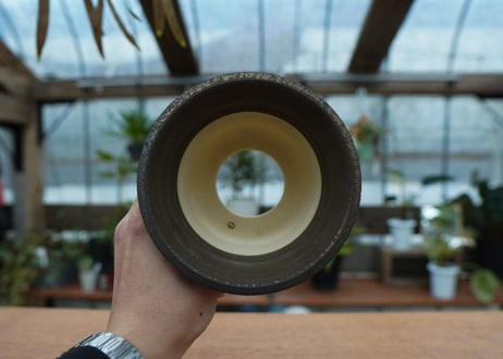 保田修作  pot No.43