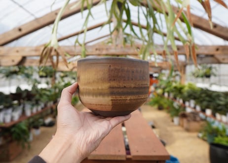 關まどか pot NO.21-4　F