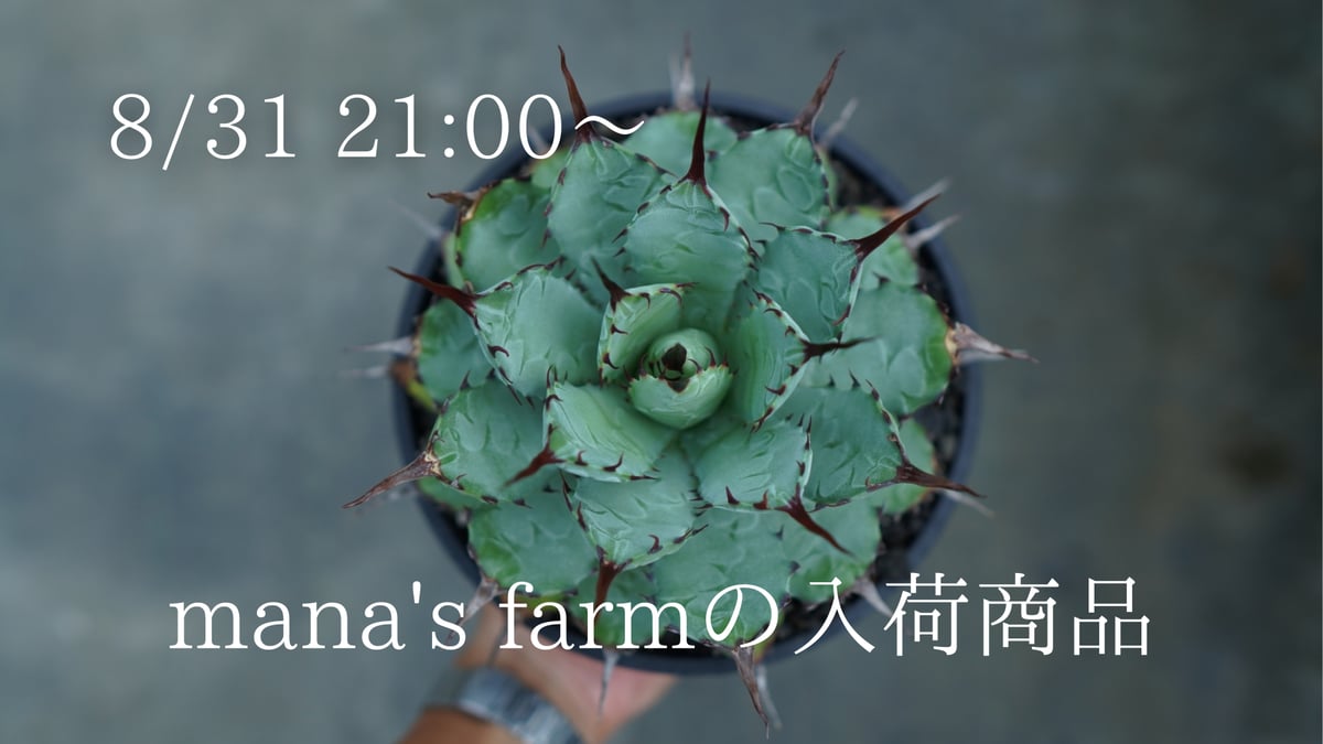 fit=pad,format=jpeg,w=1200 fit=pad,format=jpeg,w=1200
